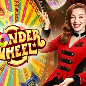wonder wheel